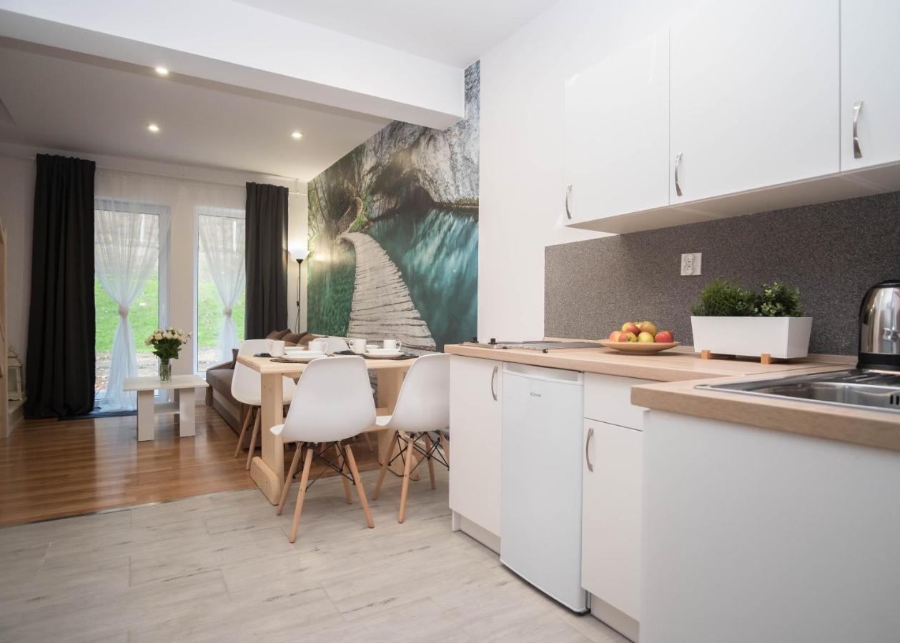 Apartamenty Goszowita Stronie Śląskie Exterior foto